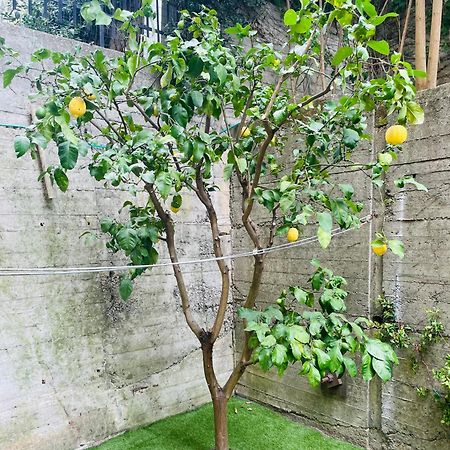 Lemon Tree Resort - Freeparking - Garden 热那亚 外观 照片